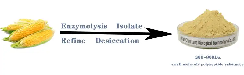 small molecule polypeptide substance .jpg